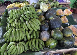 productos agricolas07