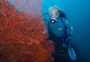 Cousteau