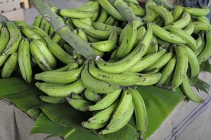 productos agricolas03