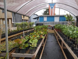 El Corredor del Yaguazo Inc.'s project was one of the winners.