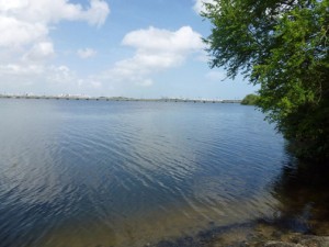 San Jose Lagoon, part of the area where kayaks and boats will be working during this weekend’s cleanup effort. (Credit: www. facebook.com/pescaplayaambiente)