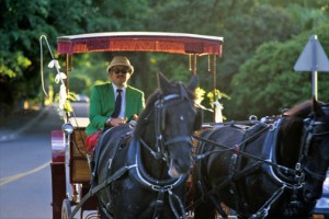 Horse-driven carriage transports tourists around the streets of Hamilton. (Credit: Larry Luxner)
