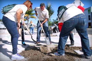 A group of employees planted more than 11 Zabar palm trees.