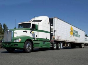 Besides offering air and ocean services, licensed customs brokers and staff, Lynden provides intra-island and international import and export services.