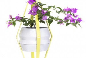 A modern plant holder designed by Vladimir García, one of four industry professionals who will present at the NYC event.