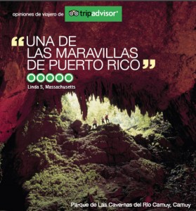 The campaign, which uses the slogan “From the coast to the mountains, there’s a five-star vacation waiting for you,” includes print and television ads.