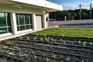 The firm's LEED projects include the Dr. Cayetano Coll y Toste elementary/middle school in Arecibo.