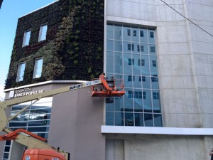 Banco Popular is "greening" its newest building in Hato Rey, which houses 11 nonprofits. (Credit: Lorelei Albanese)