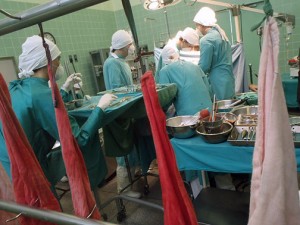 While many of those organs stay in Puerto Rico, others are transported to the U.S. for transplantation in stateside patients. (Credit: Wikipedia)