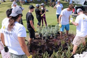 Dozens of volunteers were involved in creating the garden, which consisted of several steps. 